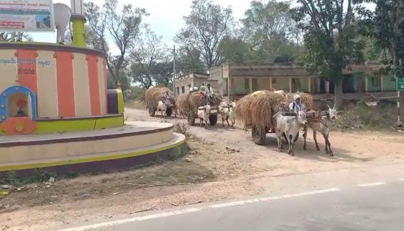 mandya