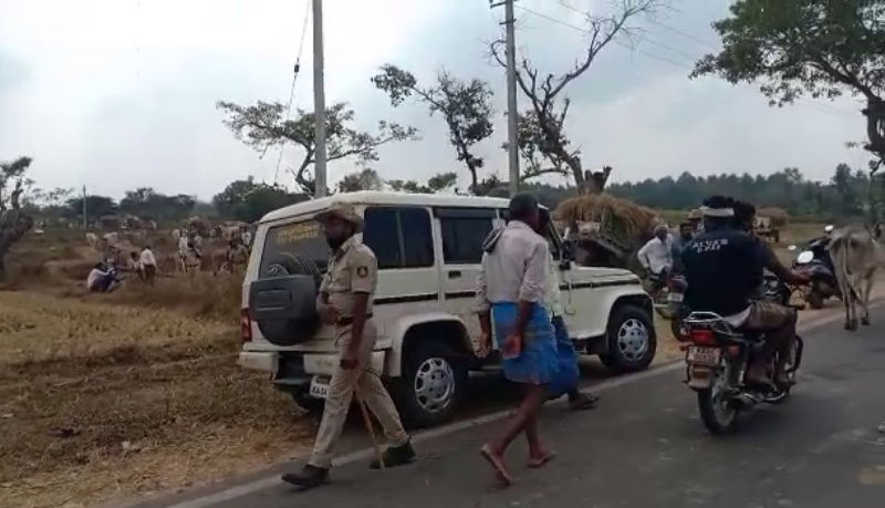 mandya