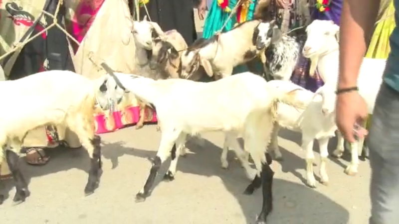 vatal nagraj 3