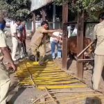 vijayapura cow2