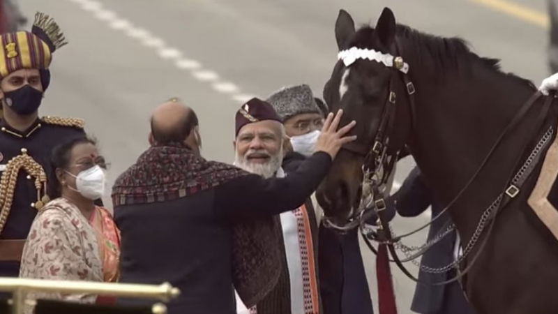 virat horse 1