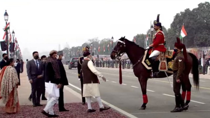 virat horse 2