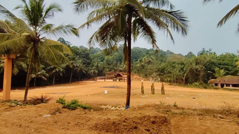 MNG SAND 2