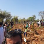 Public TV 10 Anniversary Adamya Chetana planted 1000 trees today at Bengaluru University campus