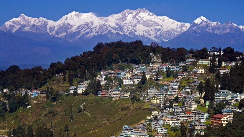 darjeeling