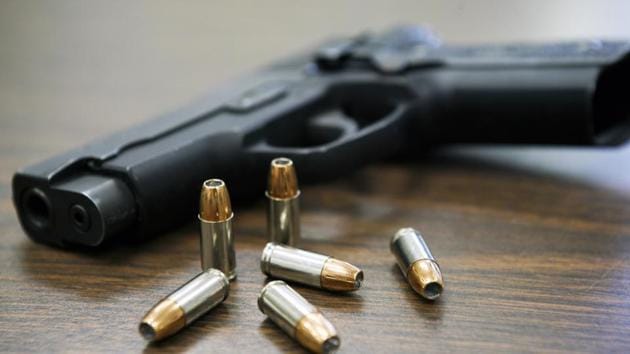 gun 2