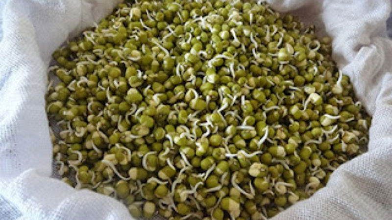 moong sprouts 2