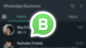 whatsapp business