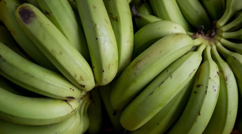 Banana kabab 2