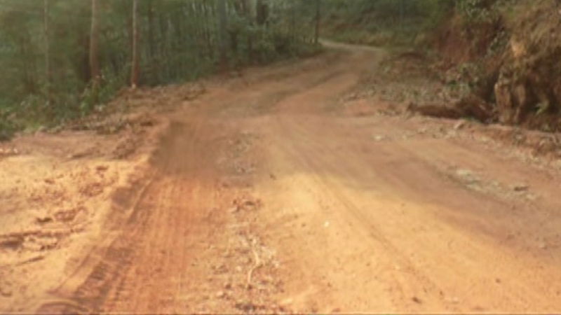 Chikkamagaluru road 2