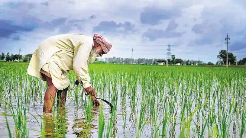 Farmers Budget1