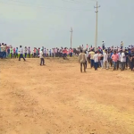 HORSE RACE 2