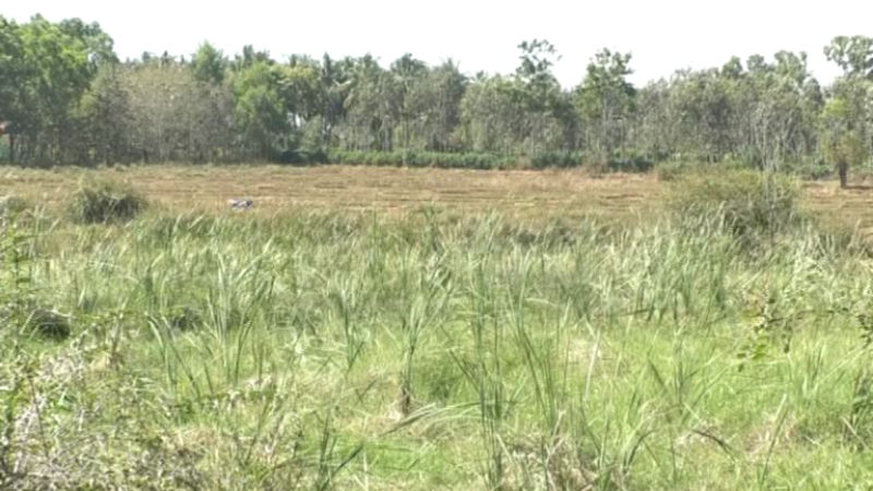 Lake encroachments 2