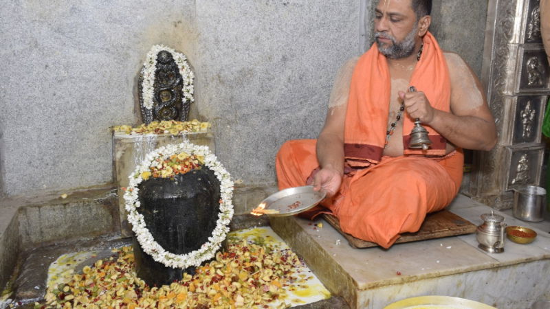 Mahashivaratri Shiva Mantralaya Raichur