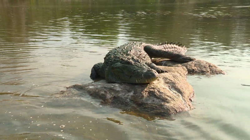 RANGANATHITTU 1