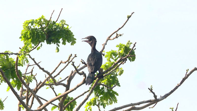 RANGANATHITTU 2
