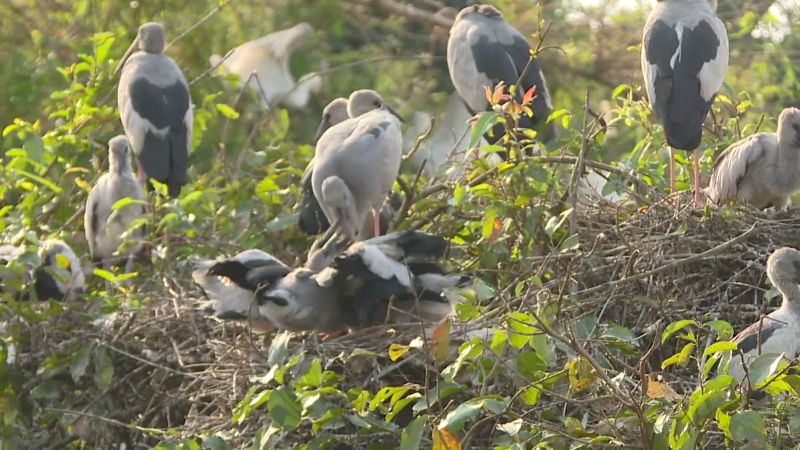 RANGANATHITTU