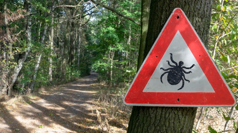 TICK VIROUS 1 1