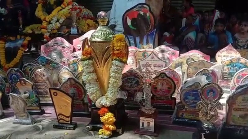 Tagaru