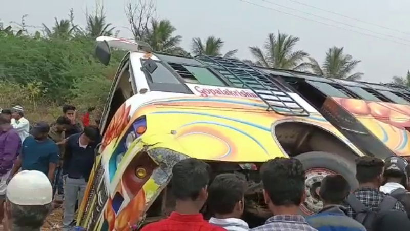 bus palti 1 1