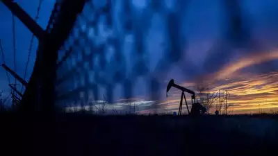 cruid oil