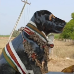 dog 1