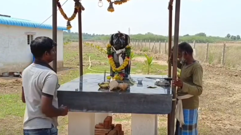 dog temple 3