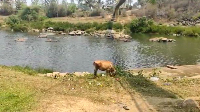 kaveri river 1