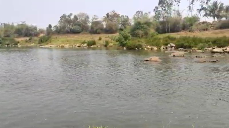 kaveri river
