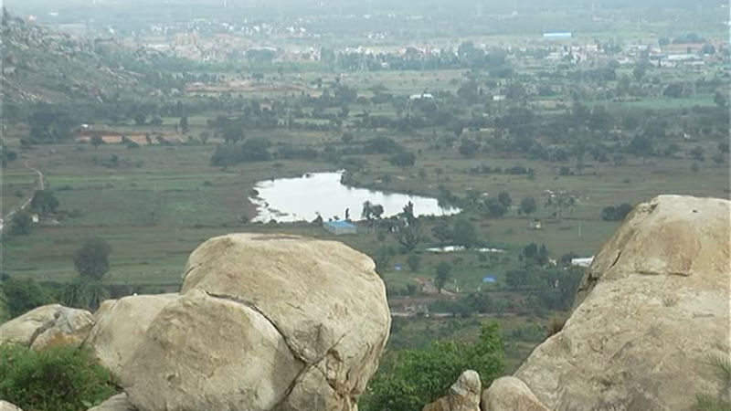 kolar 1