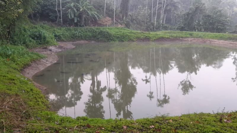 madikeri