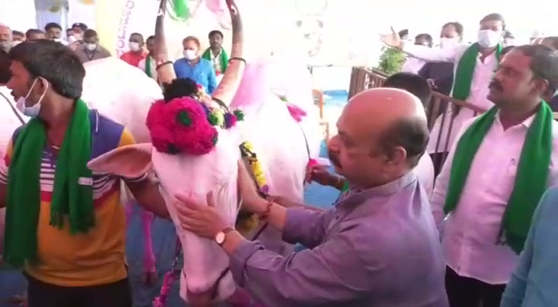BIJ BASAVARAJ BOMMAI 3