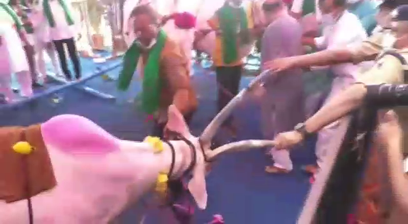 BIJ BASAVARAJ BOMMAI
