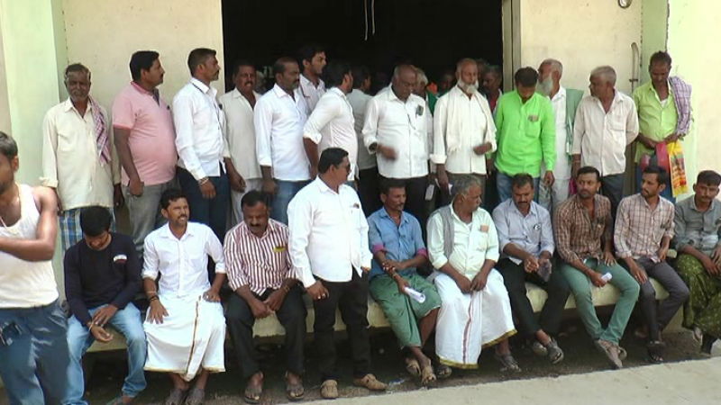 Davanagere ragi 4