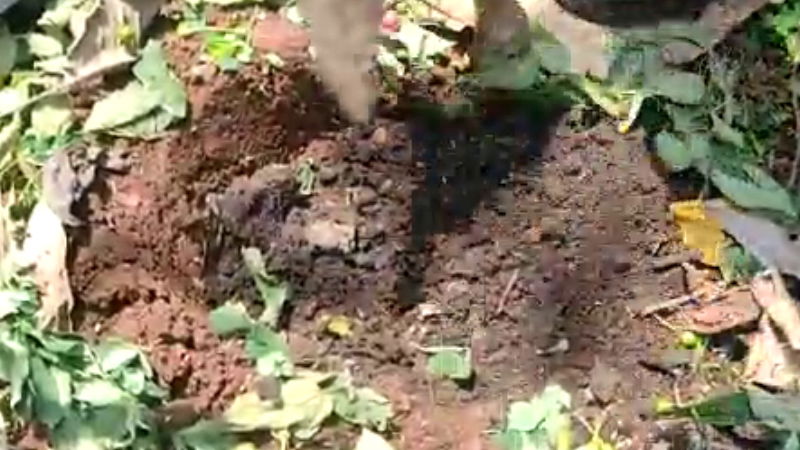 Garbage Manure Coal Clean India 1