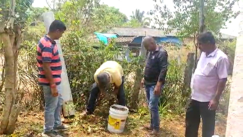Garbage Manure Coal Clean India 2