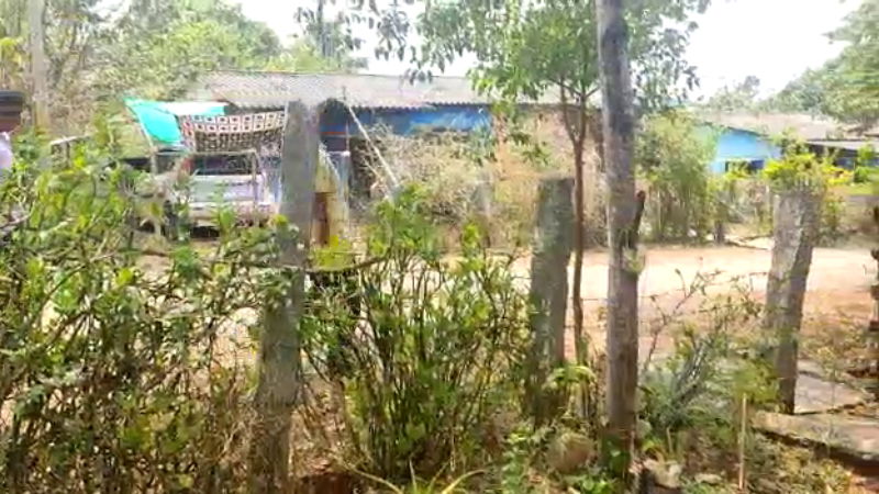 Garbage Manure Coal Clean India