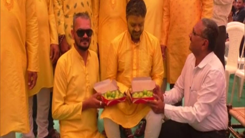 Gujarat Lemon Wedding