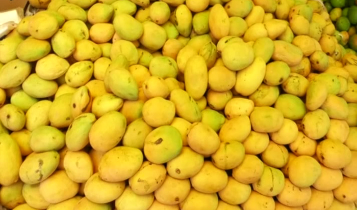 MANGO 2