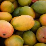 MANGO 3