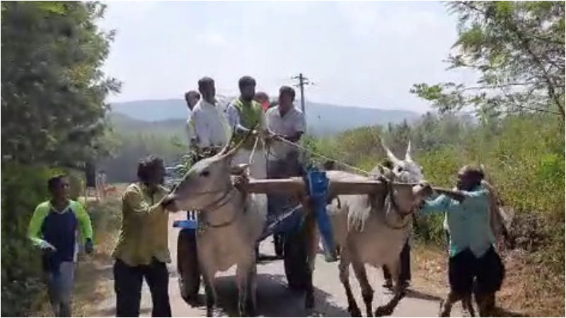 ckikkamagaluru vilan 4