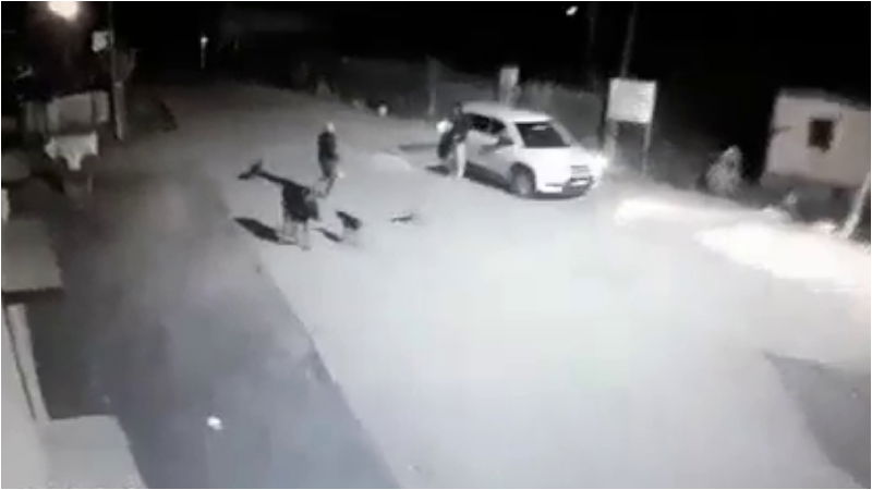 cow theft in udupi Karkala Road 2
