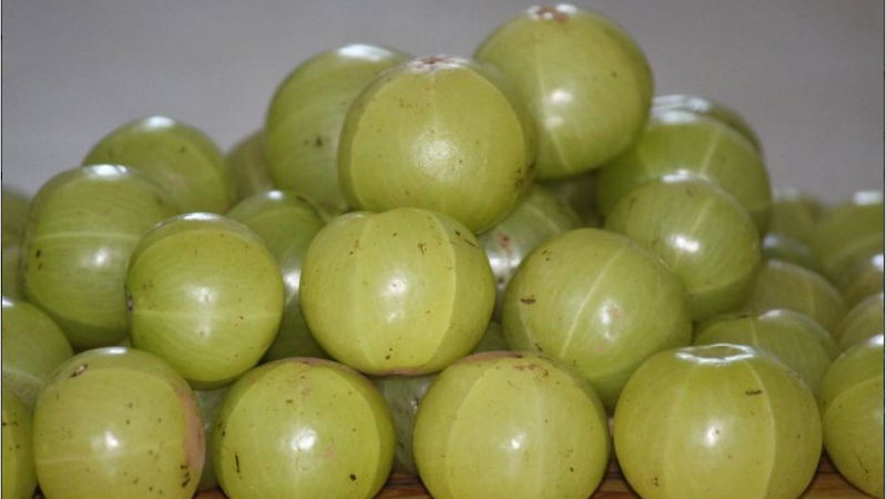gooseberry