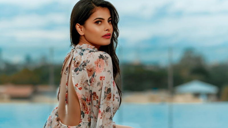 pavana in film 3