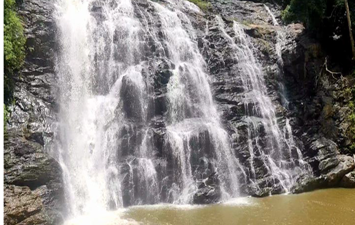 ABBI FALLS