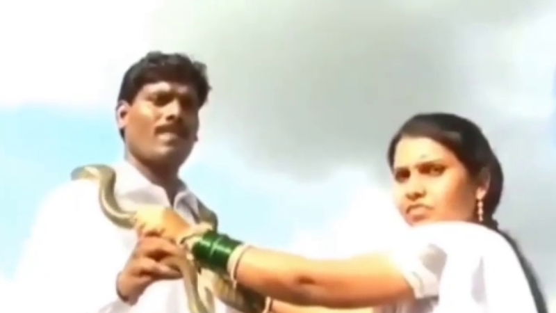 Mumbai Snake Maharashtra 2