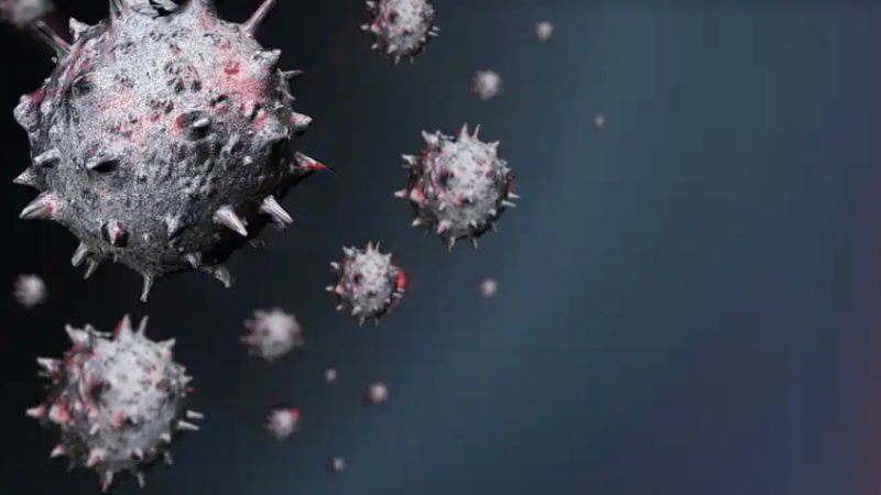 VIRUS
