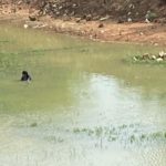 bengaluru 1 1