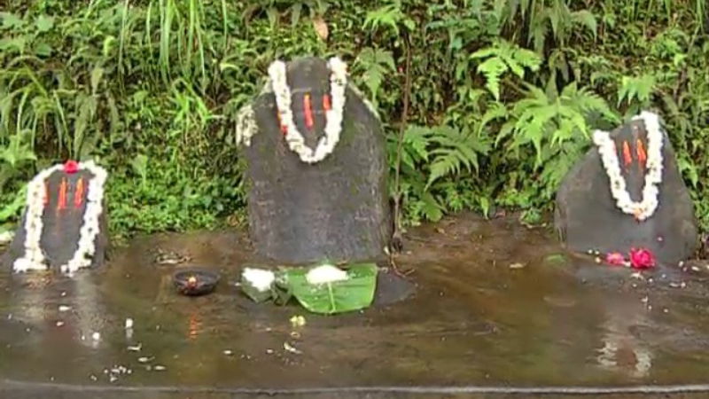 chikmagalur charmadi ghat 1