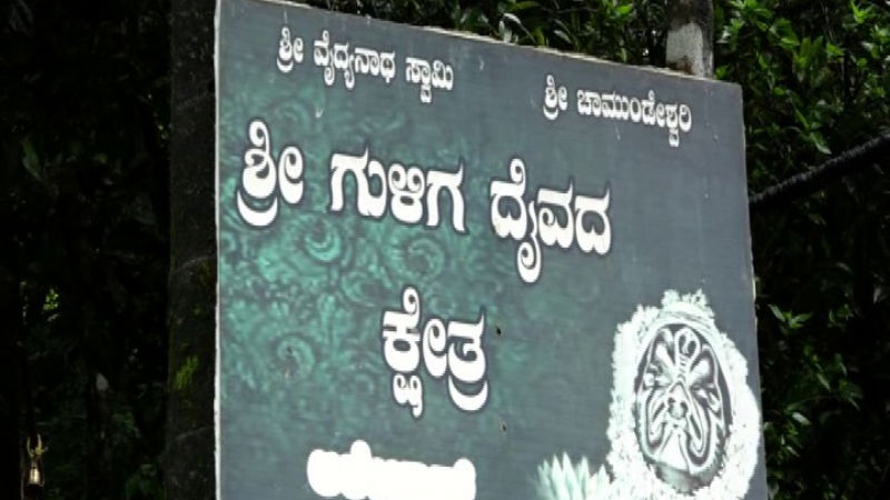 chikmagalur charmadi ghat 4